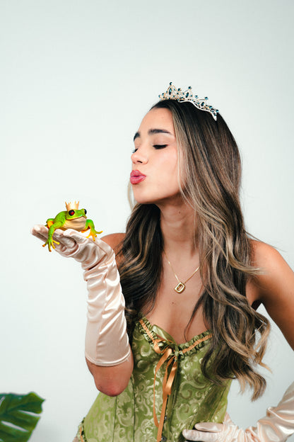 Disfraz de Princesa Tiana