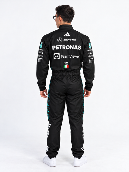 Disfraz Mercedes AMG- PETRONAS